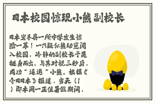 欧亚尺码专线欧洲